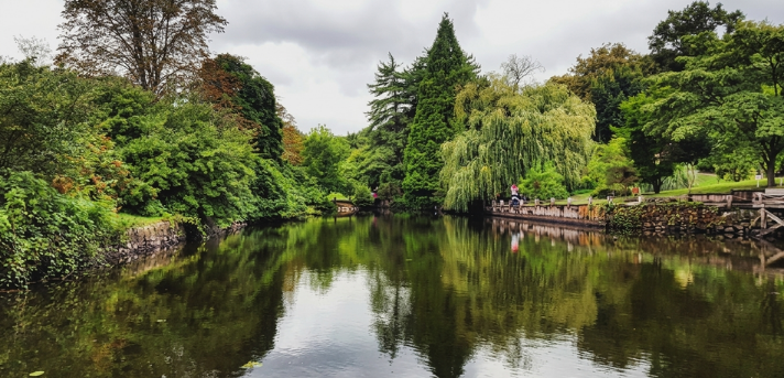Huzurlu bir bahçe parkında, ağaçların ve bulutlu gökyüzünün net yansımalarıyla dolu sakin bir gölet.