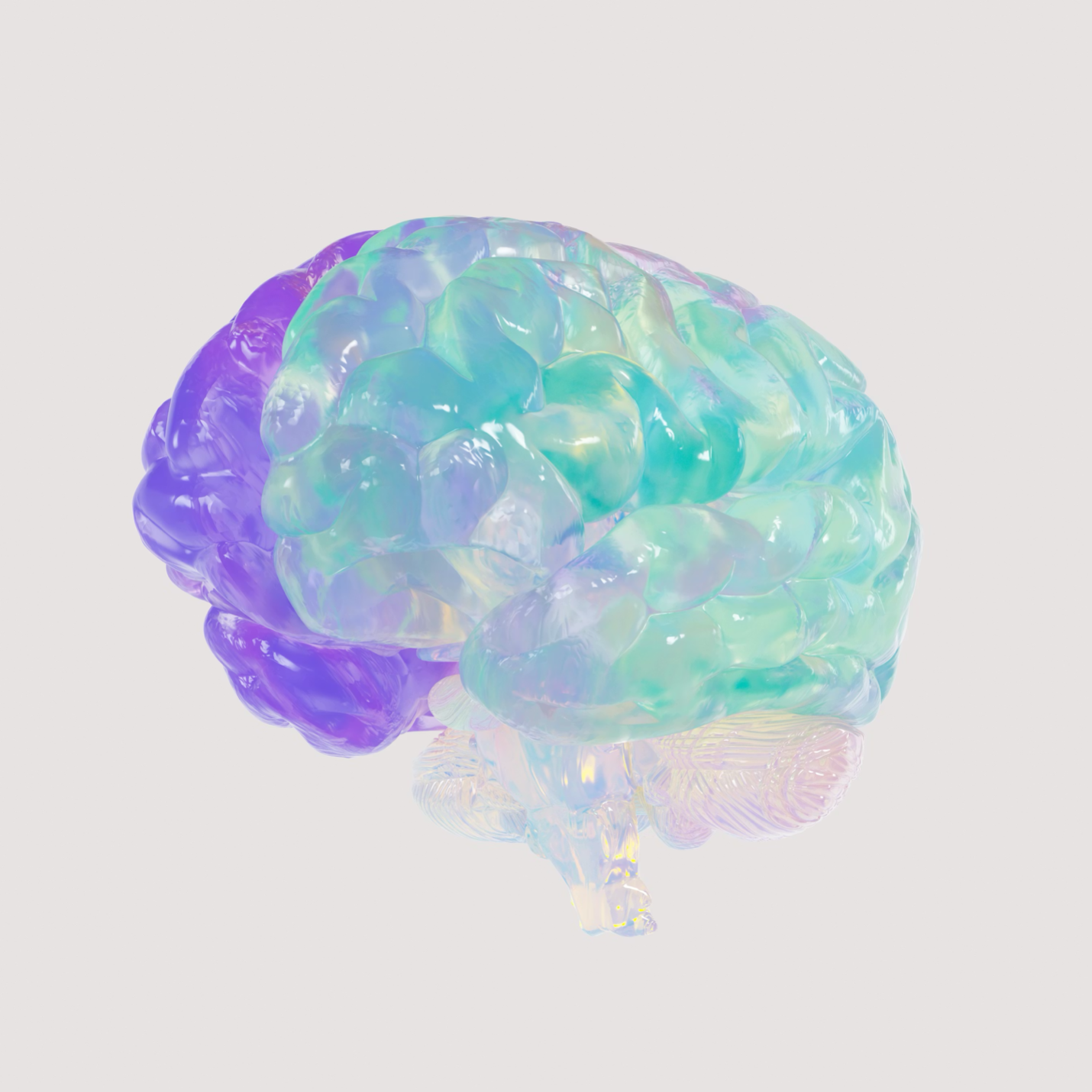 A translucent 3D model of a human brain with vibrant iridescent purple and teal colors against a light grey background