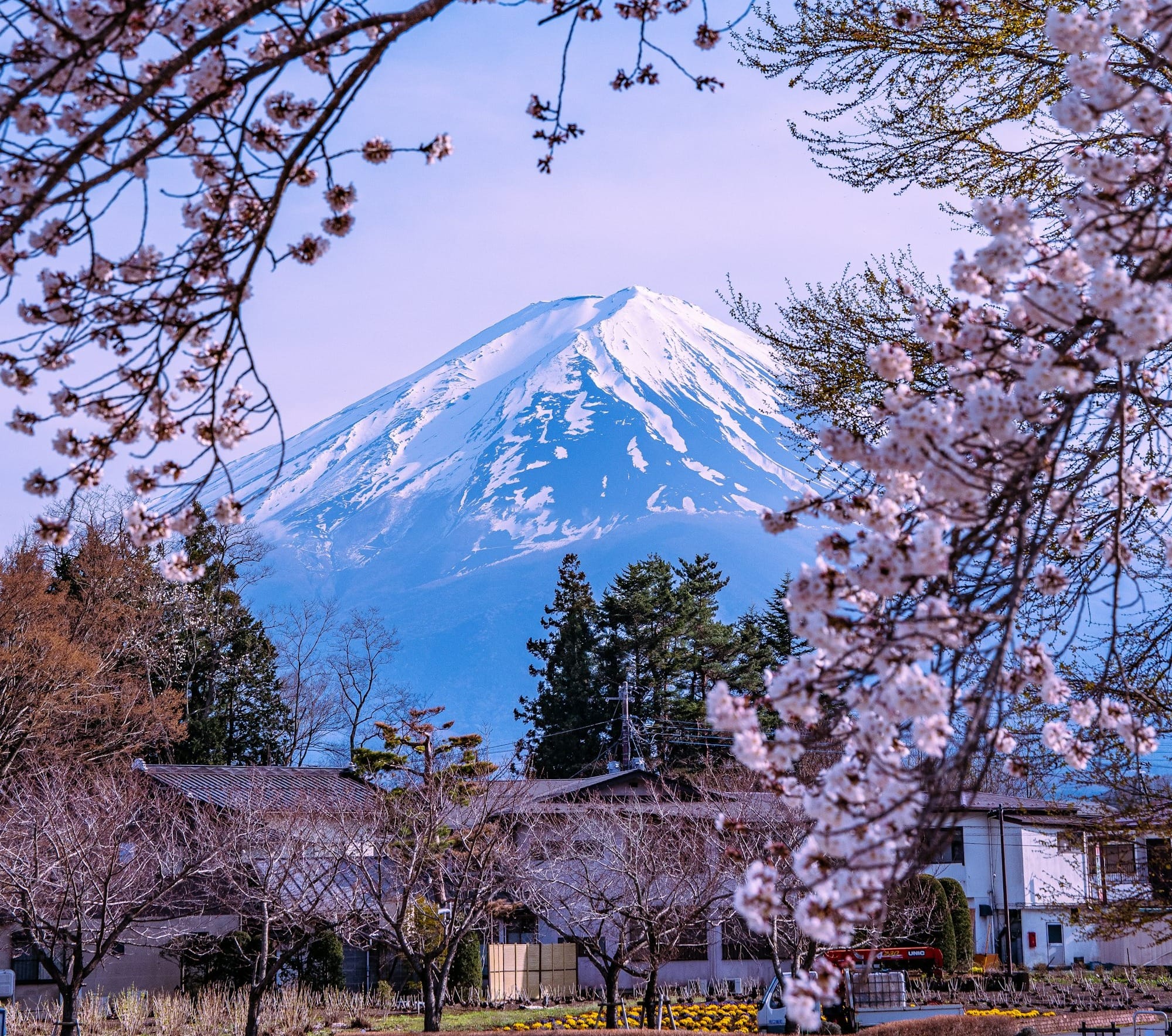 a view of a snow covered mountain from a park